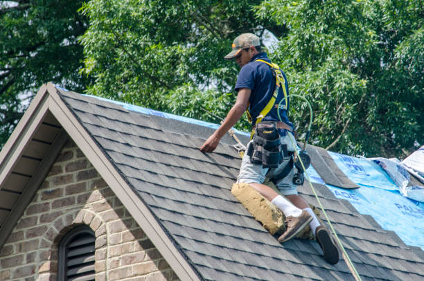 Best Roof Gutter Cleaning  in Hidden Valley, IN
